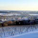 Winterlicher Weingarten, im Hintergrund Hartberg