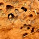 Zerbrochener Termitenhügel